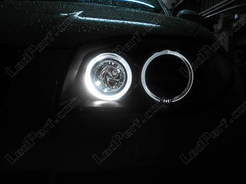 H8 Angel eyes LED BMW