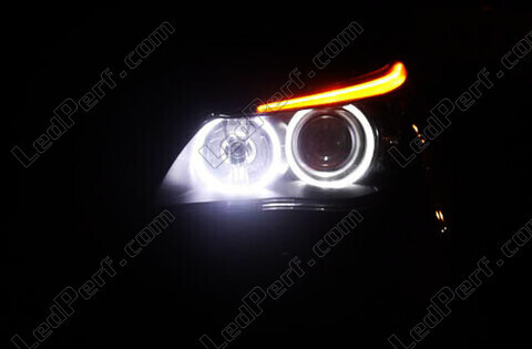 Angel eyes LED for BMW Serie 5 (F10 F11)