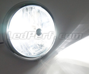 Motorcycle H1 LED Bulb Adjustable - Pure White Lighting