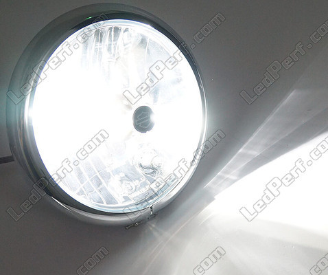Motorcycle HB3 LED Bulb Adjustable - Pure White Lighting