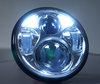 Chrome Full LED Motorcycle Optics for Round Headlight 5.75 Inch - Type 3 Daytime running lights