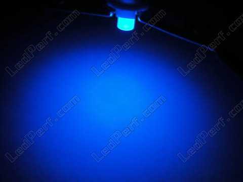 blue T5 w1.2w LED on bracket