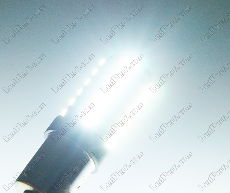 Ampoule LED P21/5W Ultimate Ultra Puissante - 24 Leds CREE