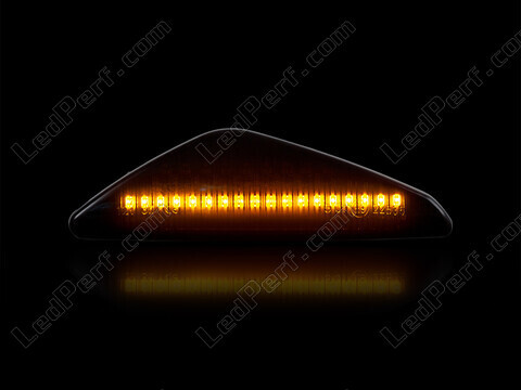 Maximum lighting of the dynamic LED side indicators for BMW X6 (E71 E72)