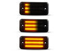 Lighting of the black dynamic LED side indicators for Fiat Ducato III