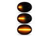 Lighting of the black dynamic LED side indicators for Mini Cooper III (R56)