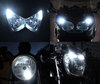 xenon white sidelight bulbs LED for Aprilia Dorsoduro 900 Tuning