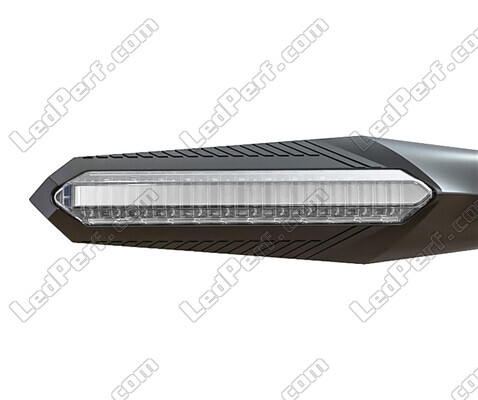 Front view of dynamic LED turn signals with Daytime Running Light for BMW Motorrad F 800 R (2015 - 2019)