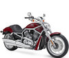 Motorcycle Harley-Davidson V-Rod 1130 - 1250 (2002 - 2006)