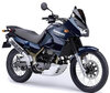 Motorcycle Kawasaki KLE 500 (2005 - 2008) (2005 - 2008)