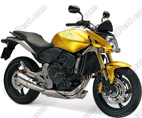 Motorcycle Honda Hornet 600 (2007 - 2010) (2007 - 2010)