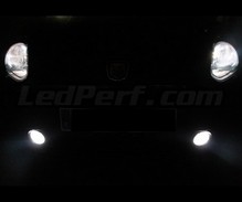 Xenon Effect bulbs pack for Fiat Grande Punto / Punto Evo headlights