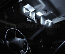 Interior Full LED pack (pure white) for Peugeot 207