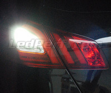 Backup LED light pack (white 6000K) for Peugeot 308 II