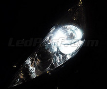 Sidelights LED Pack (xenon white) for Citroen C3 I
