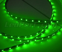 24V 1-metre green flexible strip (60 leds SMD)