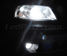 Xenon Effect bulbs pack for Volkswagen Sharan 7M headlights