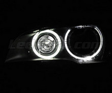 H8 angel eyes pack with white (pure) 6000K LEDs for BMW X5 (E70) - Standard