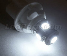 Sidelights LED Pack (xenon white) for Volkswagen Passat CC