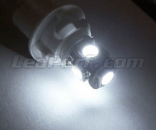 Sidelight LED Pack (Xenon white) for Seat Toledo 4