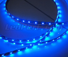 Standard 50cm flexible strip of (30 leds SMD) blue