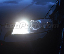 Daytime running light pack (xenon white) for Audi A6 C6