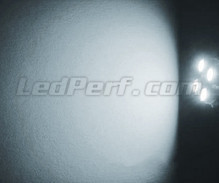 Sidelights LED Pack (xenon white) for Suzuki Grand Vitara