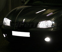 Xenon Effect bulbs pack for Seat Ibiza 6L headlights