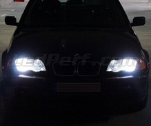 Xenon Effect bulbs pack for BMW Serie 3 (E46) headlights